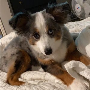 Meet your Posher, Matt